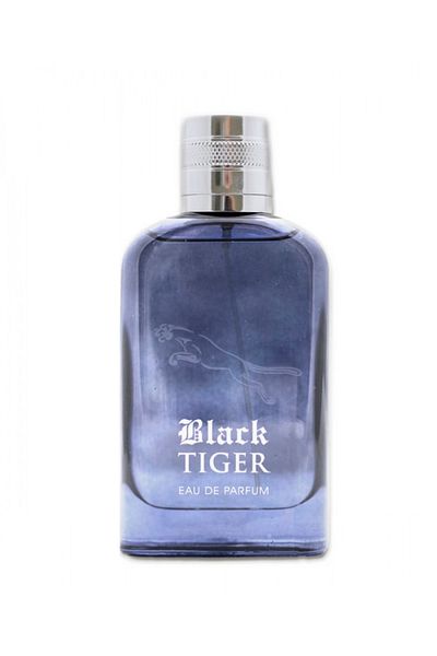 Alina Corel Black Tiger  For Men By Alina Corel Eau De Parfum - 100ML