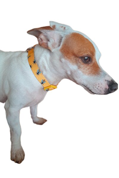 MiaBona Happy Bee Arı Desenli, Yüksek Kaliteli, Sarı Renk, Dijital Baskılı Köpek Boyun Tasması, Dog Collar