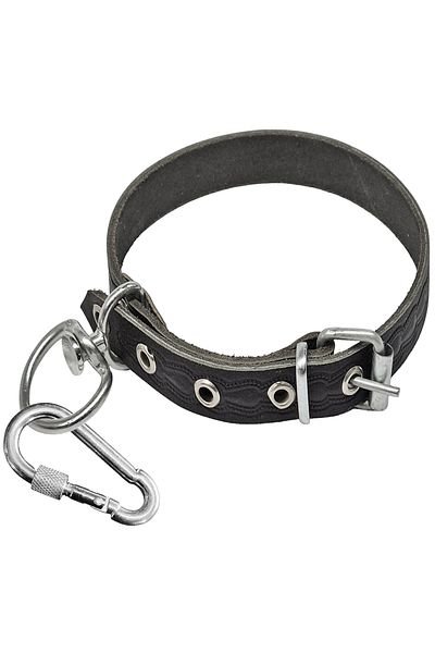 ALETÇANTAM Leather Dog Collar with 48cm Locked Carabiner - Small Breed