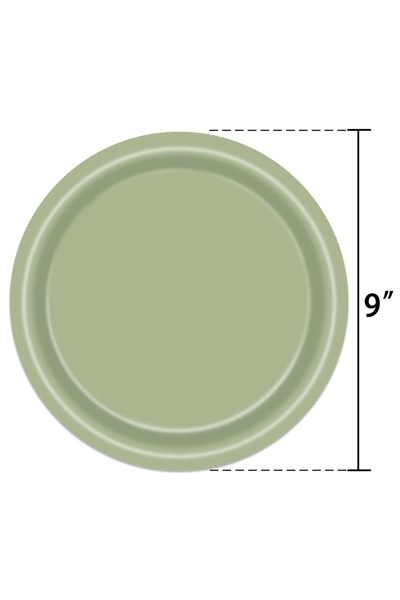 Choice 10 قطع من أطباق مقاس 9 بوصات بلون أخضر حكيم، لوازم حفلات، أدوات مائدة ...