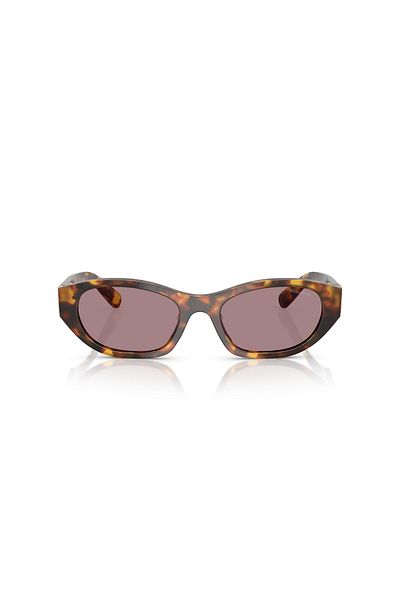 Miu Miu Women's Brown Sunglasses