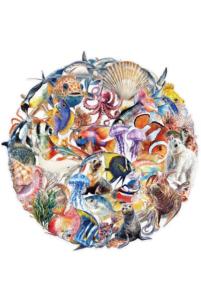 Choice 50pcs 50pcs Marine Life Stickers Octopus Shell Fish Diy Scrapbooking Stationary Travel Luggage Car L