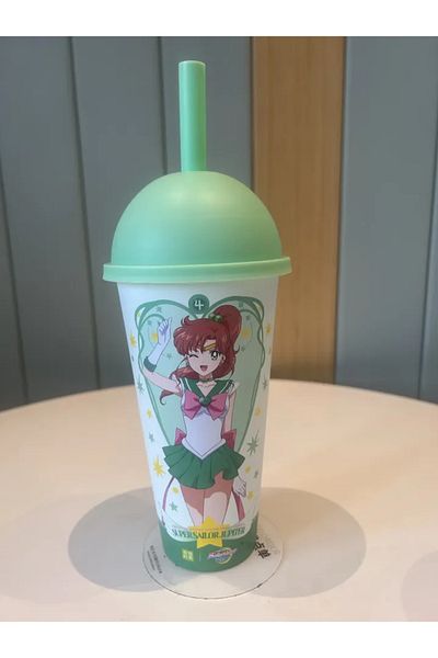 Choice D Hot Sale Beauty Girl Warrior Co Branded Cup Branded Color Changing Insulation Cup For Girlfriend .