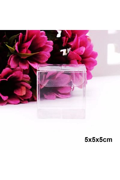 Choice Transparent 5x5x5cm 10pcs Plastic Square Clear Candy Gift Box Chocolate Candy Boxes Jewelry Storage