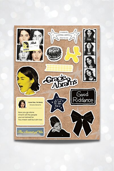 Gracie Abrams Sticker Seti Planner Journal Laptop Pinterest It Girl Aesthetic The Secret Of Us
