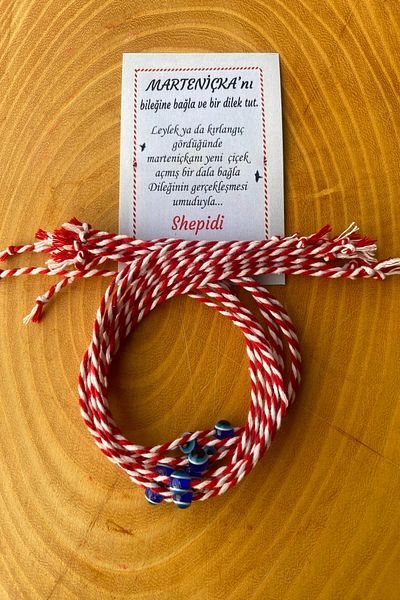 Shepidi 20 Gift Knotless Evil Eye Beaded Martenchia Lucky Bracelet