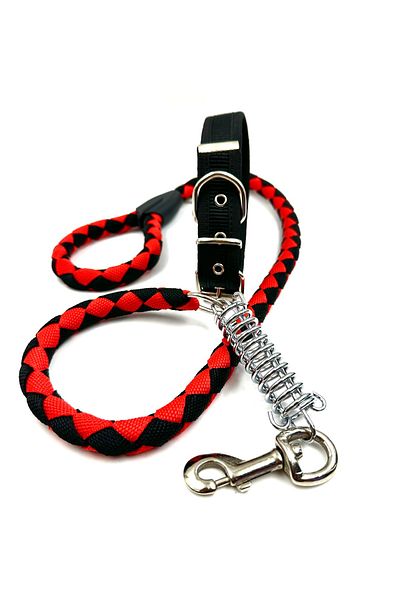 Tasma Market Medium Breed Durable Dog Collar Set