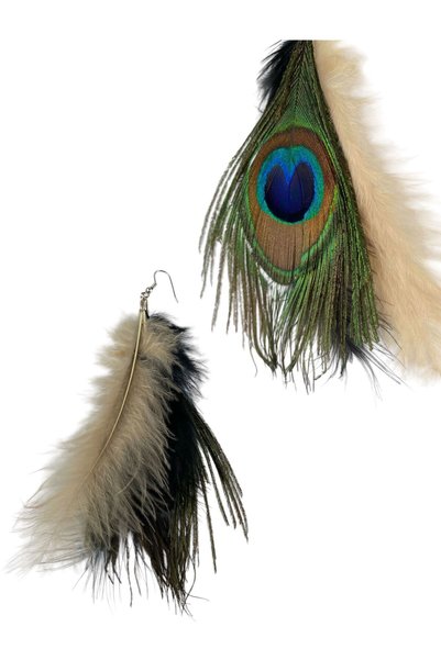 Puledro Natural Peacock Feather Finely Processed Earrings Eye-Catching Women's Accessory with Stylish and Elegant Design