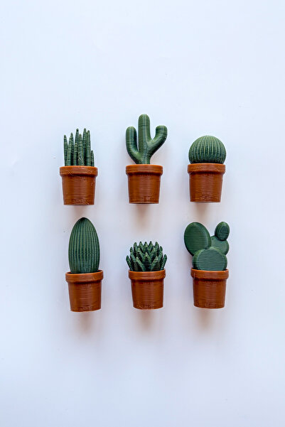 sin istanbul 6'lı Kaktüs Buzdolabı Magneti