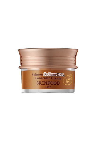SKINFOOD Salmon Sodium Dna Concealer Cream - Vanilla No.1
