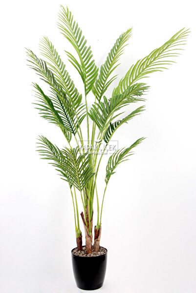 Yapay Çiçek Deposu Yapay 4 Gövdeli 13 Büyük Yapraklı Areka Palmiye Ağacı 180 Cm