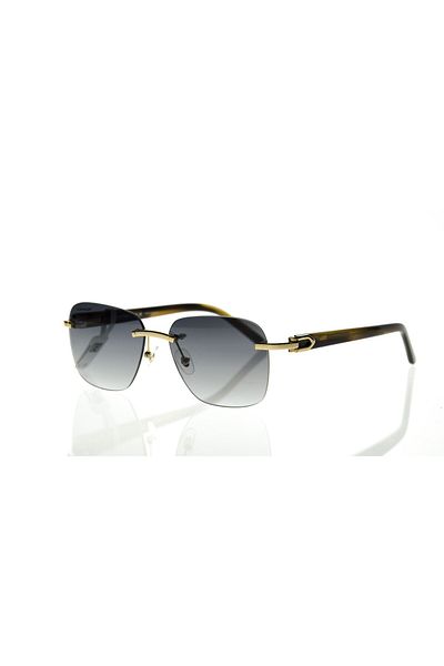 DUNLOP Dg3673 Model Sunglasses - 58 17 145 C2