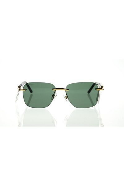DUNLOP Dg3673 Model Sunglasses - 58 17 145 C1