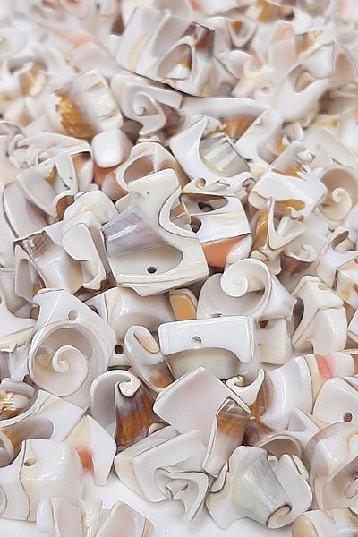 Hayalperest boncuk Coffee Perforated Seashell
