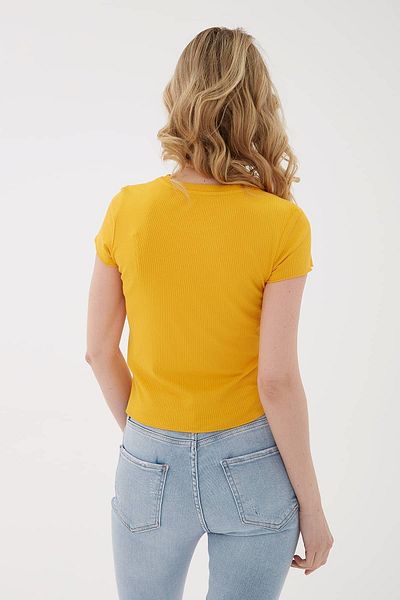 Fashion Friends Short Sleeve T-shirt Yellow / Yellow