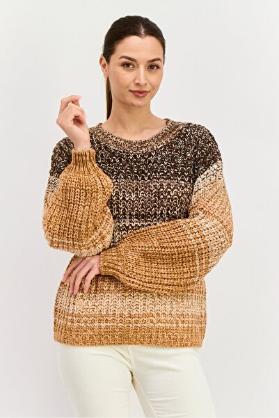 Dex Women Crew Neck Long Sleeves Knitted Sweater, Brown Combo