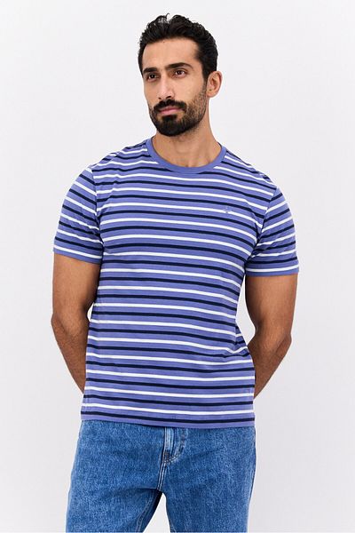 Vince Camuto Men Crew Neck Short Sleeves Stripe T-shirt, Blue Combo