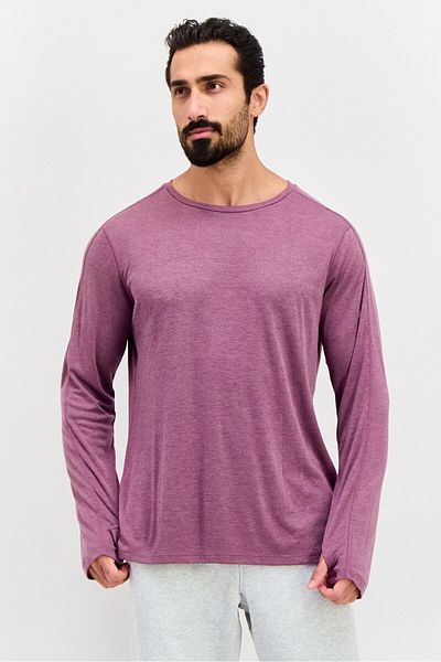 Champion Men Sportswear Fit Heather Long Sleeve Training T-Shirt, Mauve