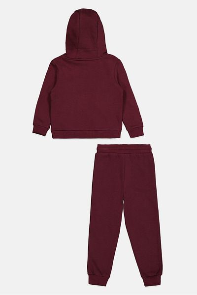 Nicce Toddlers Boy 2 Pieces Brand Logo Hooded Sweatshirt And Sweatpants Set, Burgundy