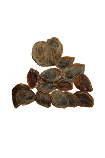 1001Naturel Şeytan Tırnağı Cin Tırnağı Şeytan Pençesi Bitkisi 1000GR