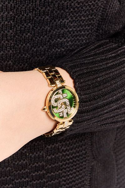 Just Cavalli Women JC1L241M0065 Stainless Steel Analog Watches, Gold