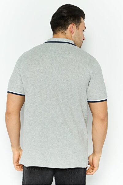 Threadbare Men Regular Fit Textured Short Sleeves Dorry Polo, Grey