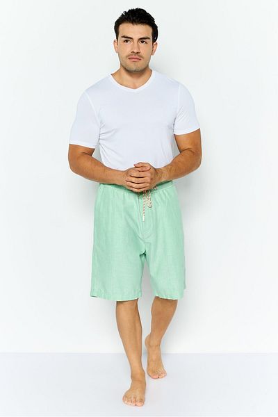 Scotch & Soda Men Textured Beachwear Shorts, Light Green