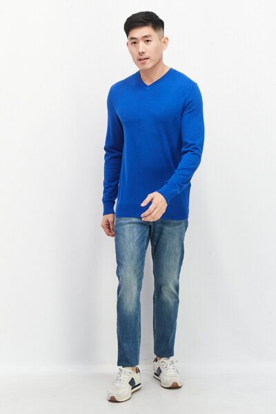 CELIO Men V Neck Long Sleeve Plain Sweaters, Blue
