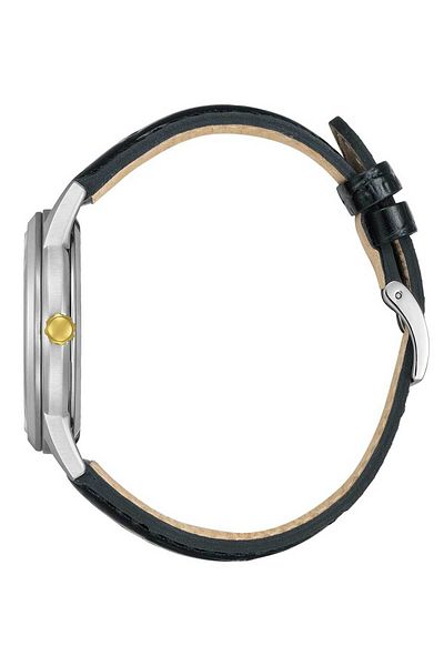 Citizen Mens Watch Aw1784-16e, Quartz, 40mm, 3atm