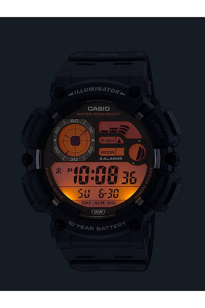 Casio Ceas barbatesc Casio WS-1500H-1AVEF, Quartz, 50mm, 10ATM