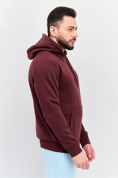 Esprit Men Graphic Print Long Sleeves Hoodies, Brown