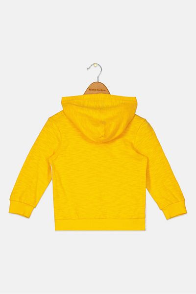 FIRST IMPRESSIONS Toddlers Boy Hooded Colorblock Sweatshirt, Yellow