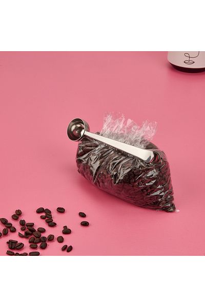 AROW Brice Silver Measuring Spoon