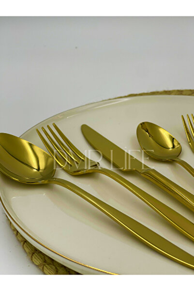 DMR LİFE Titanium Gold Ruby Model Dmr Life 18/10 Team for 6 People