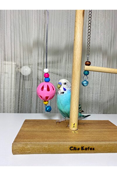 Ciko Kafes Fun Playground for Loving Parrots of Paradise for Loving Budgies