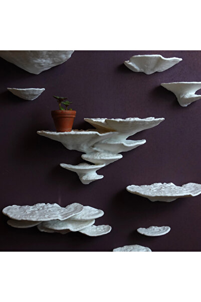 GRAUHAUS 1Pc Natural Mushroom Look Wall Shelf Living Room Decor Bedroom Decor...