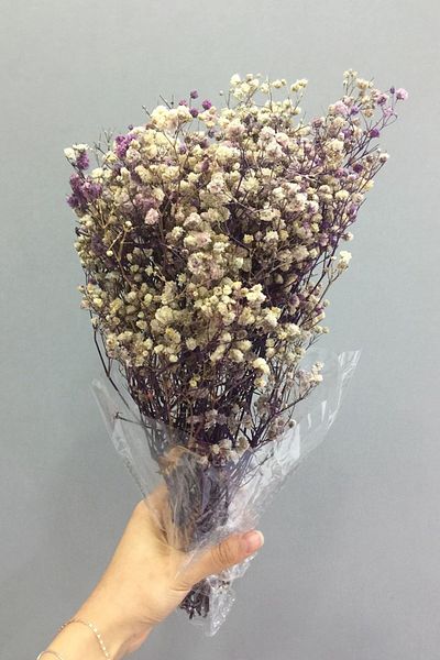 Hayalperest boncuk Μωβ συγκλονισμένο Cipso Dry Flower