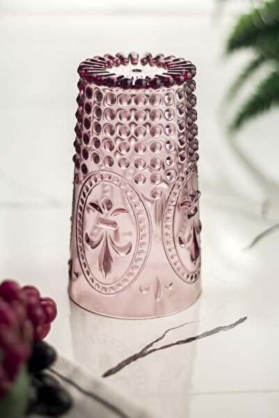 HSDemirci Acrylic Plum Single Tall Cup & Water Soft Drink Cup 750 ml (Not Large Size & Glass)