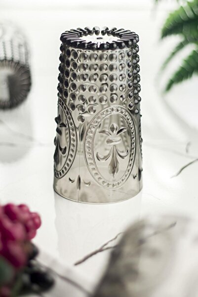 Hangora Acrylic Smoked 6-Piece Tall Cup & Water Soft Drink Cup 750 ml (Not Large Size & Glass)