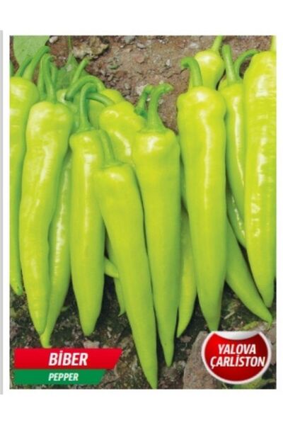 AKSARAY TOHUMCULUK Yalova Çarliston Biber Tohumu 25 Adet Tohum Aksaray Tohumculuk