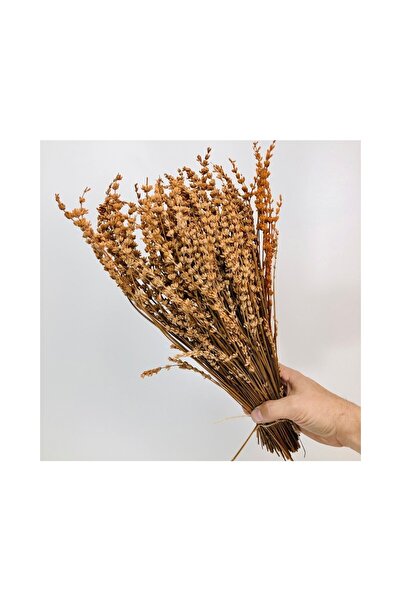 Genel Markalar Şoklanmış Lavanta Gerçek Lavanta Demeti Kahverengi