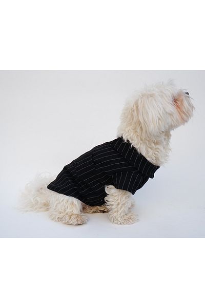 MPZ Pets Cat and Dog Outfit & Dress - Black and White Striped Collar T-Shirt