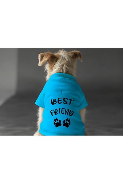 MPZ Pets Cat and Dog Outfit & Dress - Blue Sweatshirt Best Friend