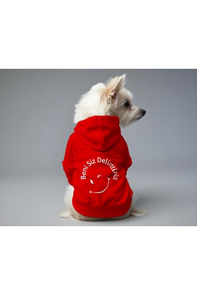 MPZ Pets Cat and Dog Outfit & Gown - Red Hoodie You Drive Me Insane