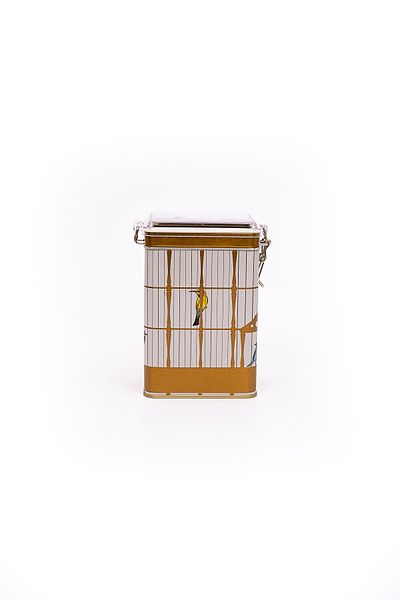 EVLE Er043-t7 Bird Cage Patterned Rectangular Metal Storage Container 8x10 Cm