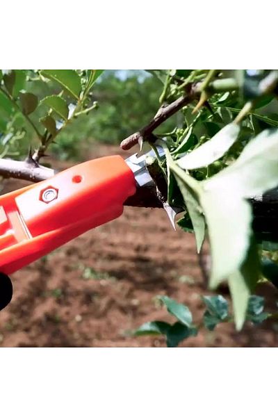 Monte Lua Sn-24895 Multifunctional Garden Pruning Shears