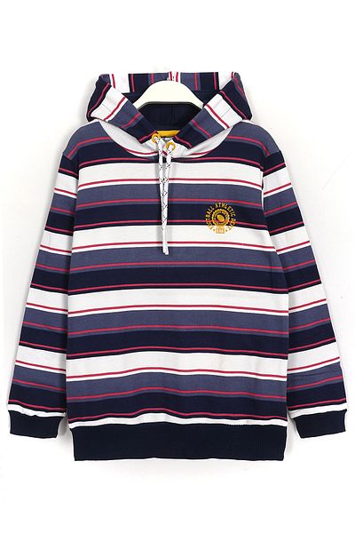 DobaKids Striped Embroidery Detailed Hooded Boy Sweatshirt