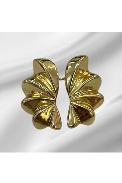 Store Steel Stylish Earrings