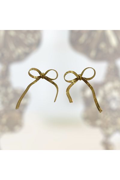Store Steel Ribbon Earrings