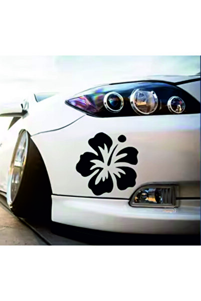 Birim Matbaa Clover Leaf Car Sticker(20X20Cm)